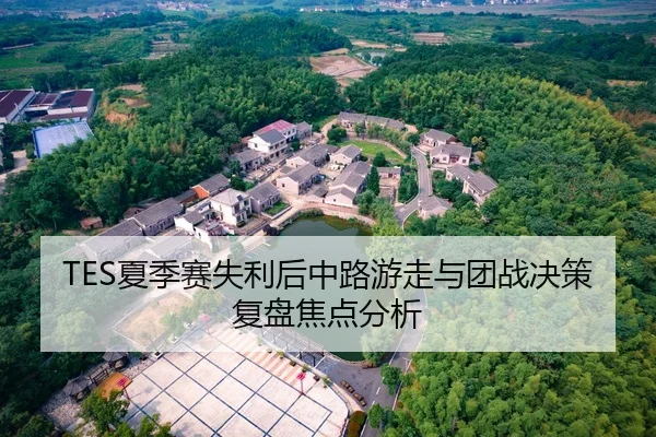 TES夏季赛失利后中路游走与团战决策复盘焦点分析